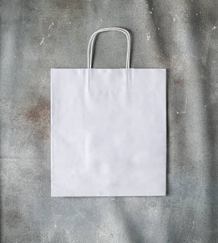 Twisted Handle Kraft Paper Bag - White 305x170x340mm